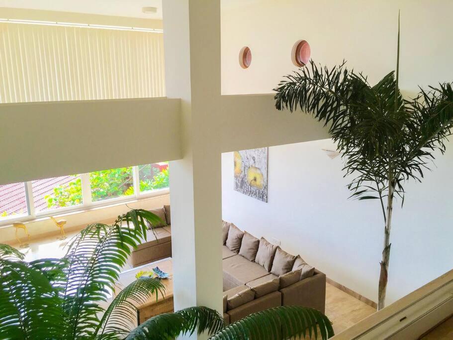 Dolphin Heights 5bhk Sea View Pool Candolim