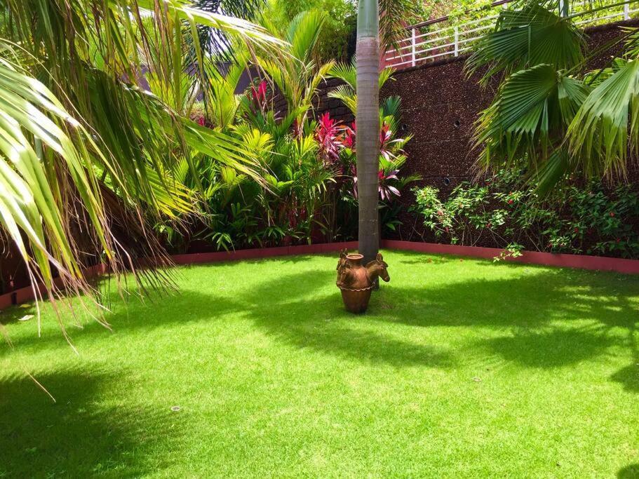 Villa Dolphin Heights 5bhk Sea View Pool Candolim